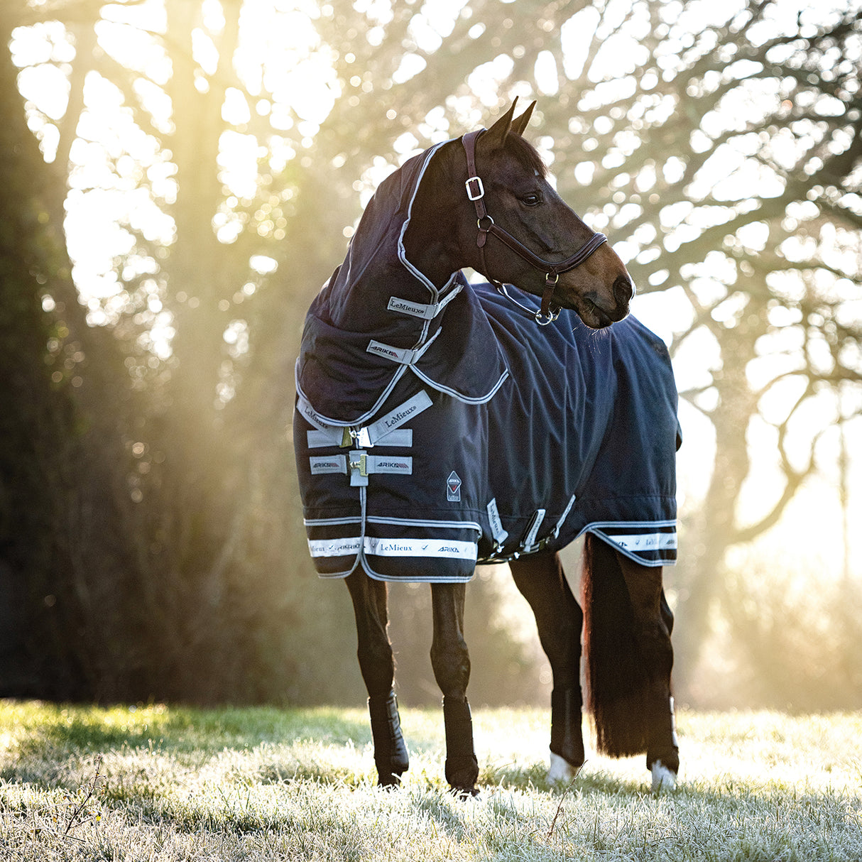LeMieux Arika Storm-Tek Turnout Blanket 200 g