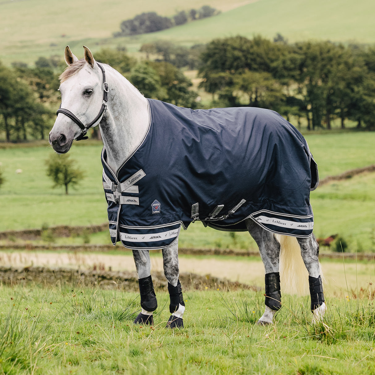 LeMieux Arika Storm-Tek Turnout Blanket 50 g