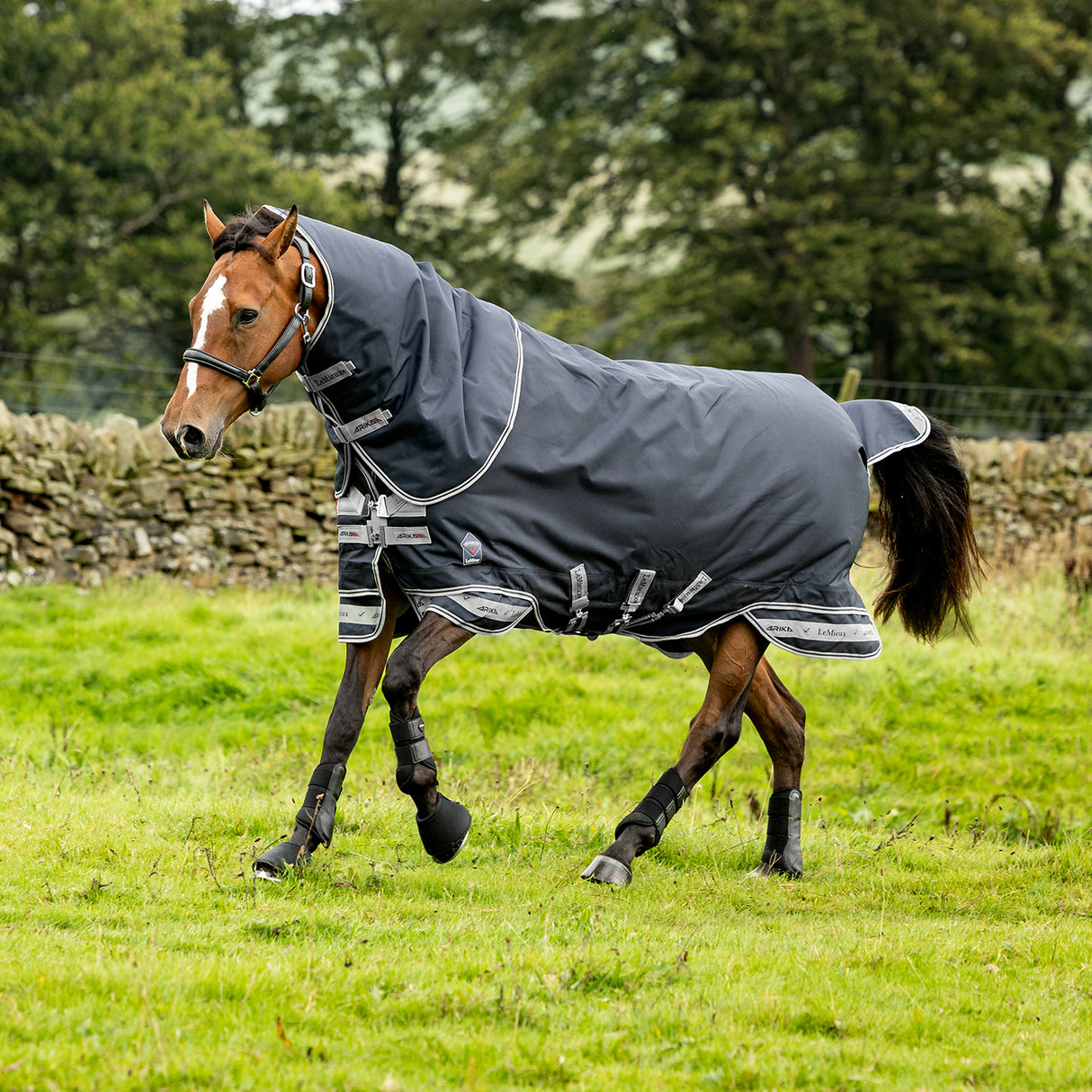 LeMieux Arika Storm-Tek Turnout Blanket 50 g