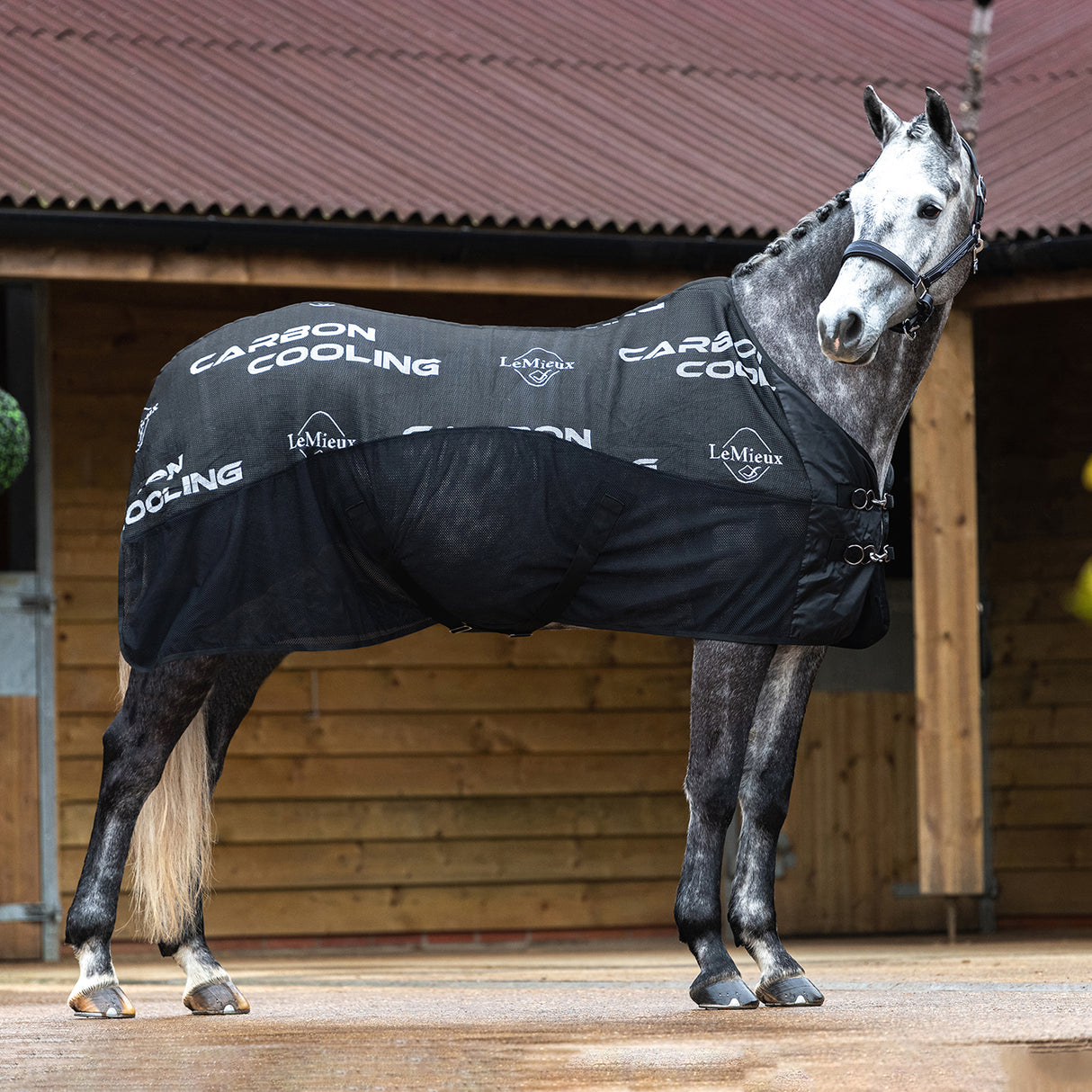 LeMieux Carbon Cooler