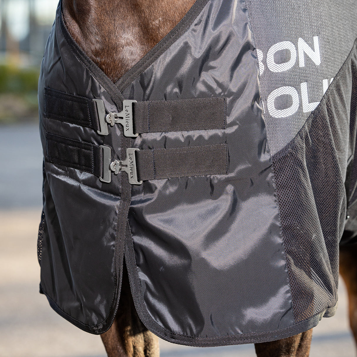 LeMieux Carbon Cooler