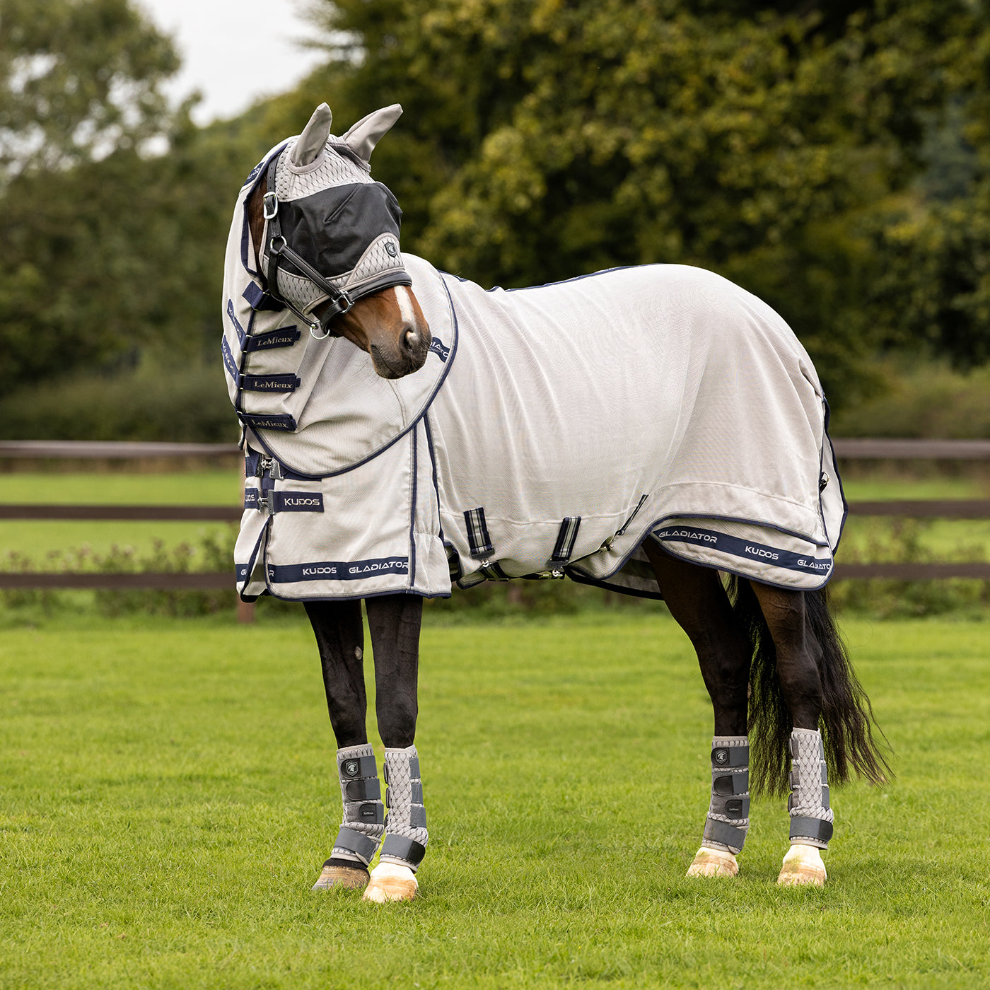 Lemieux Kudos Gladiator Fly Sheet