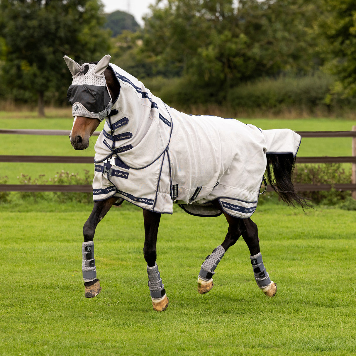 Lemieux Kudos Gladiator Fly Sheet