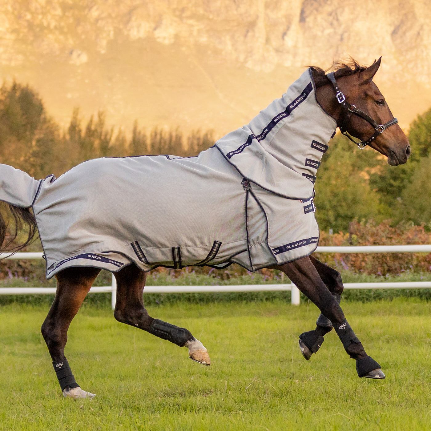 Lemieux Kudos Gladiator Fly Sheet