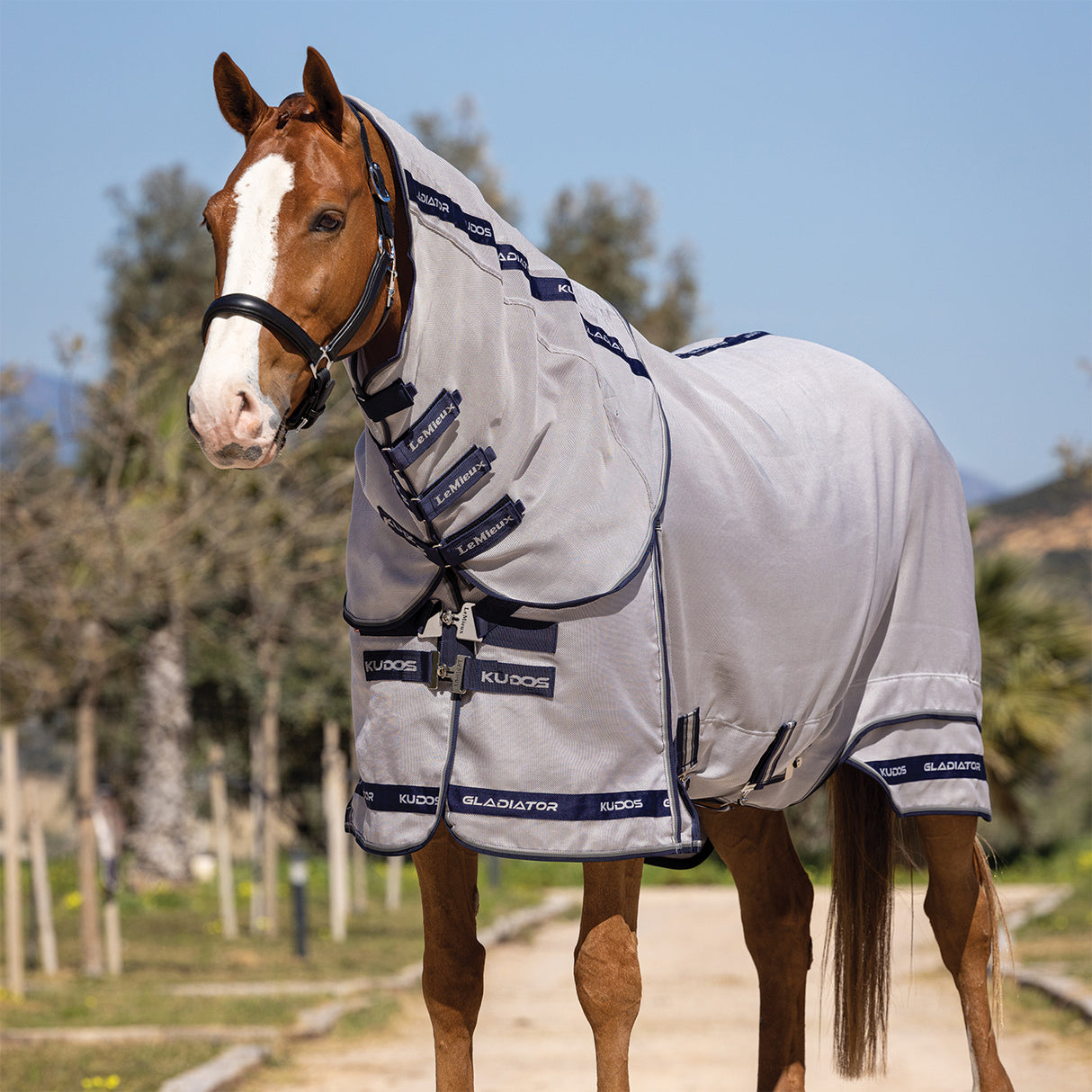 Lemieux Kudos Gladiator Fly Sheet