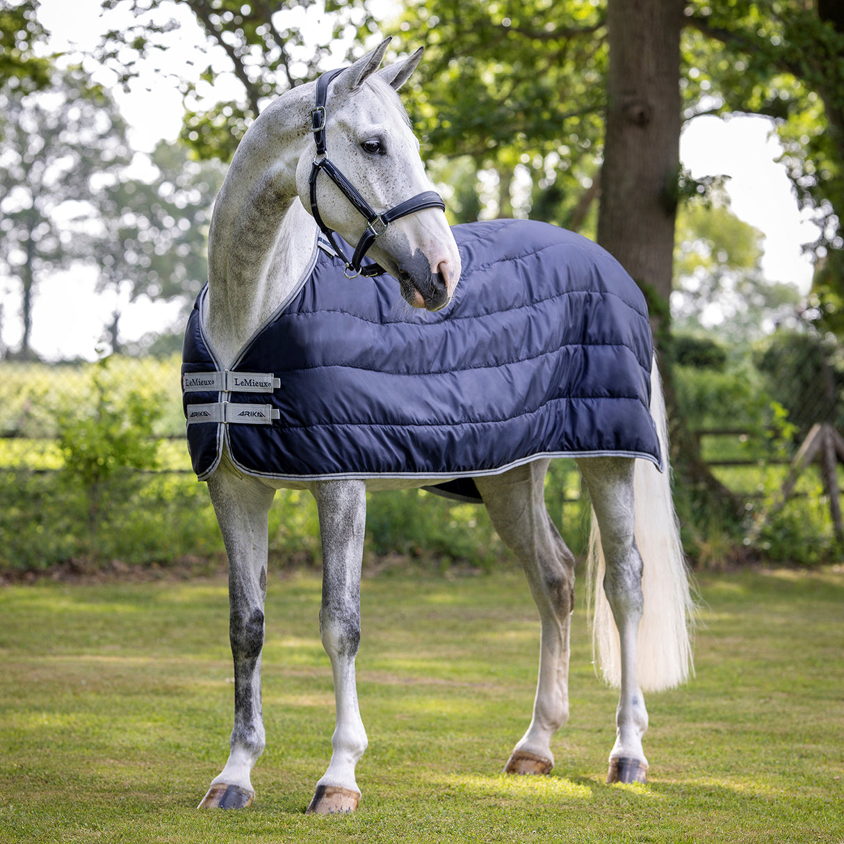LeMieux Rug Liner 100 g