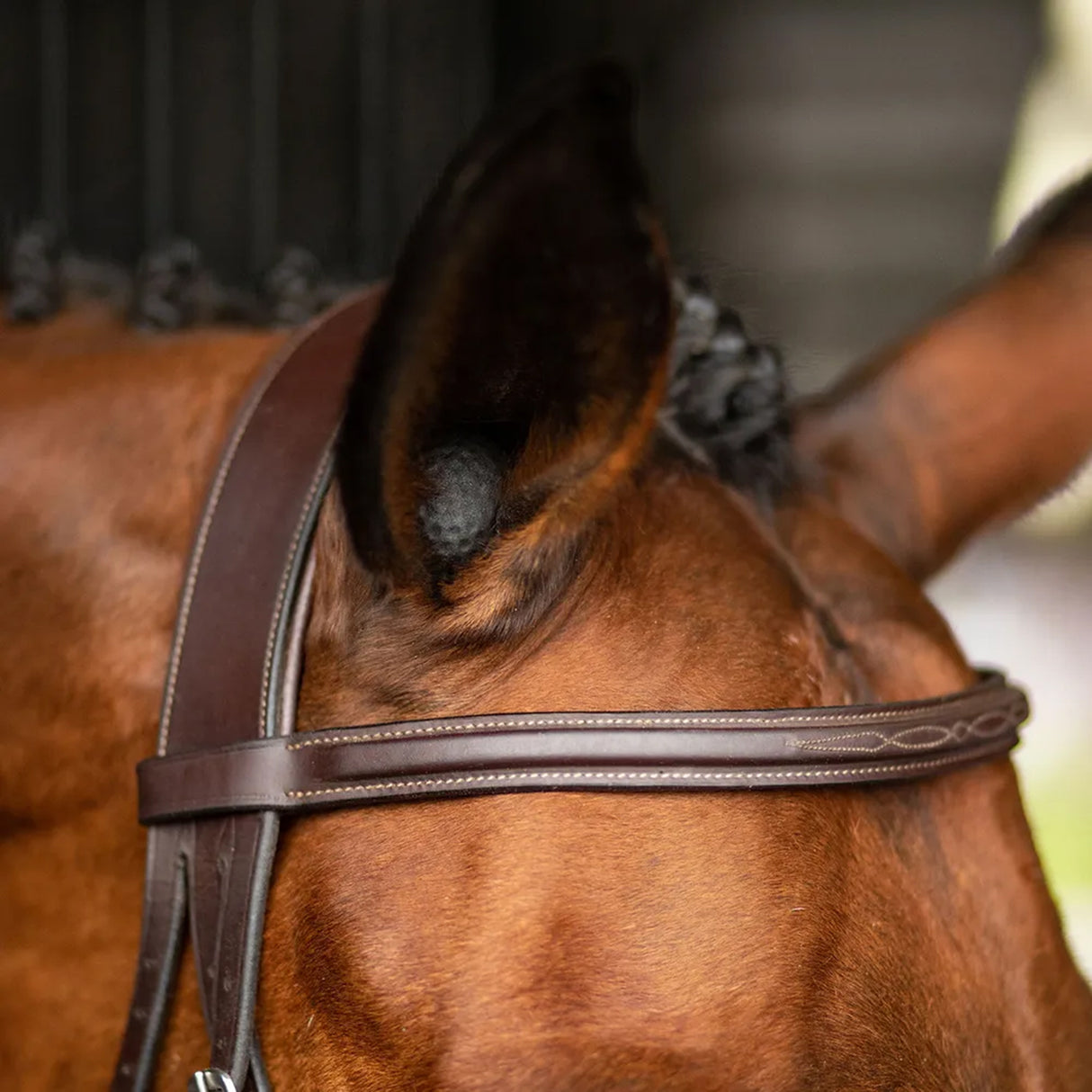 Pomms Horse Premium Equine Earplugs - Pack of 2