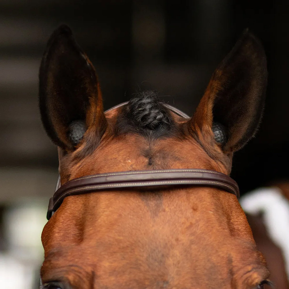 Pomms Horse Premium Equine Earplugs - Pack of 2