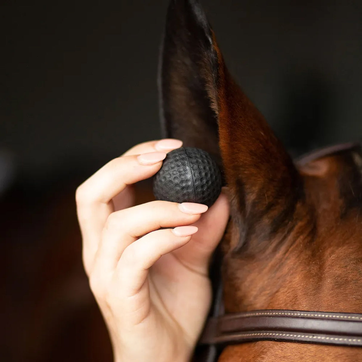 Pomms Horse Premium Equine Earplugs - Pack of 2