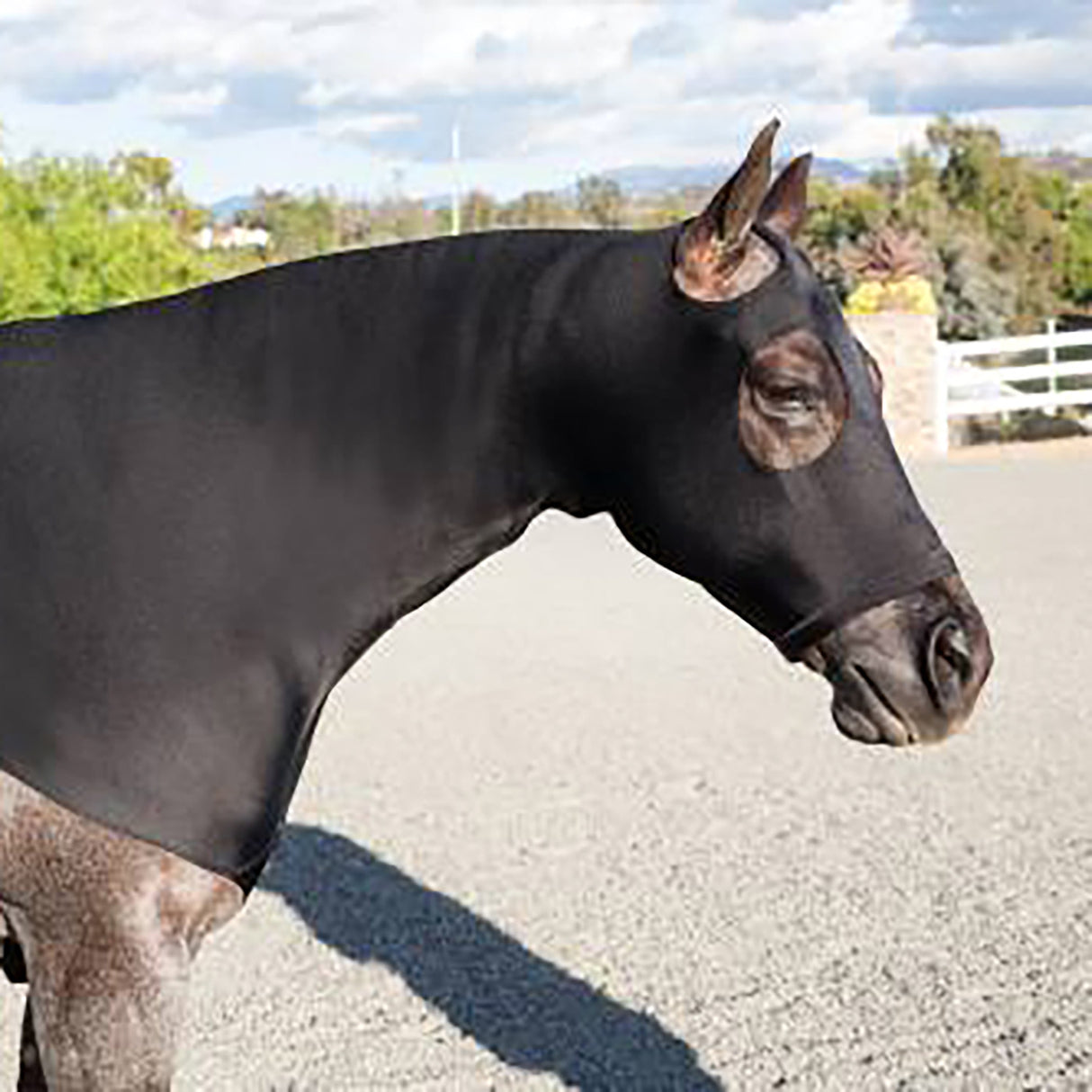 Professional's Choice Horse Hoodie