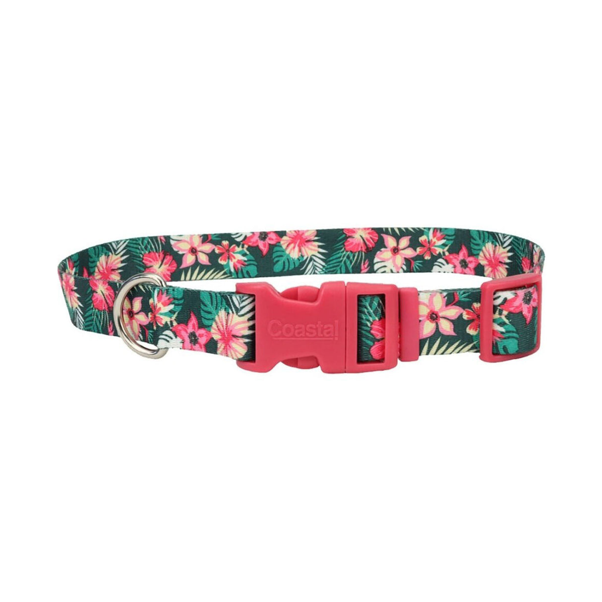 Styles Adjustable Dog Collar