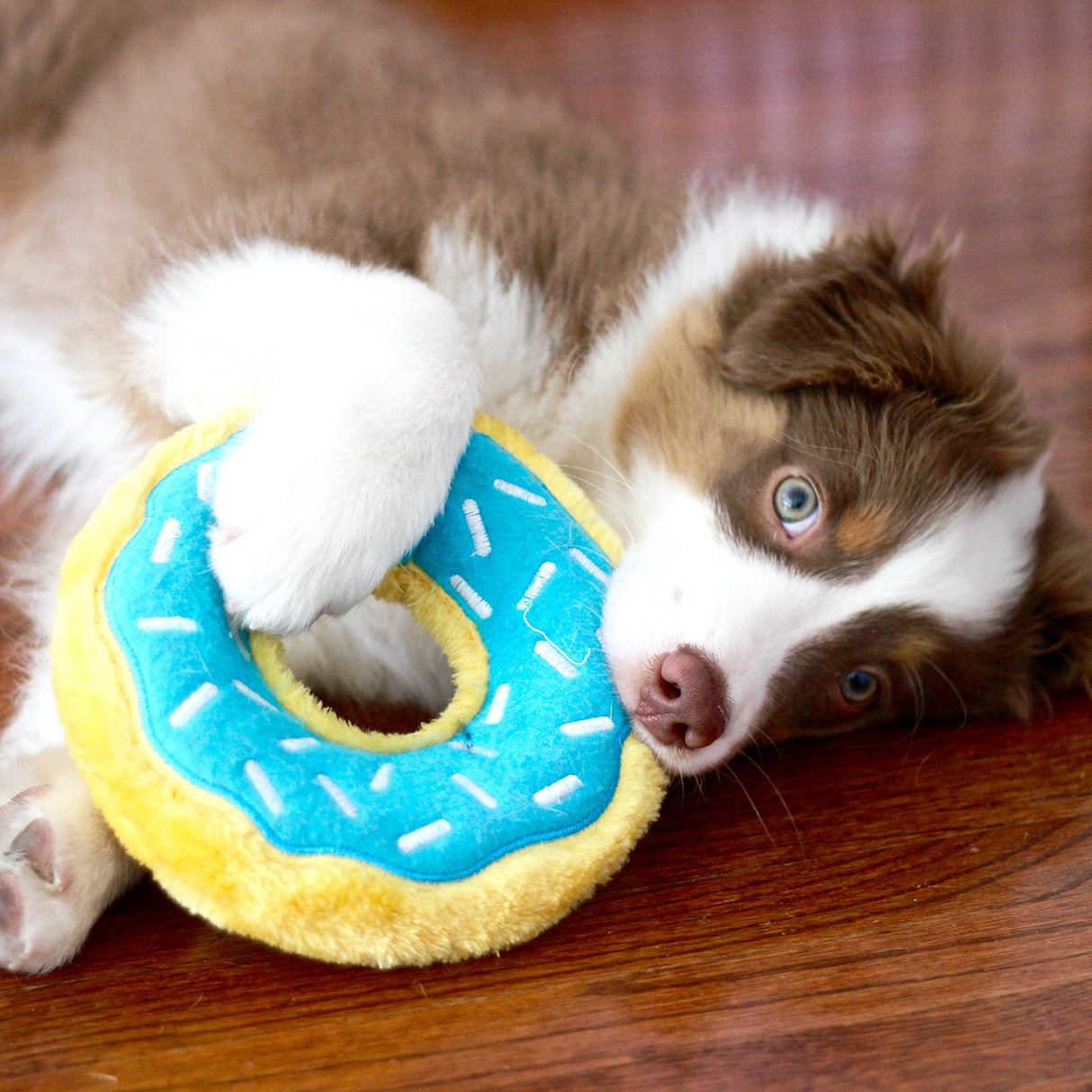 ZippyPaws Blueberry Donutz