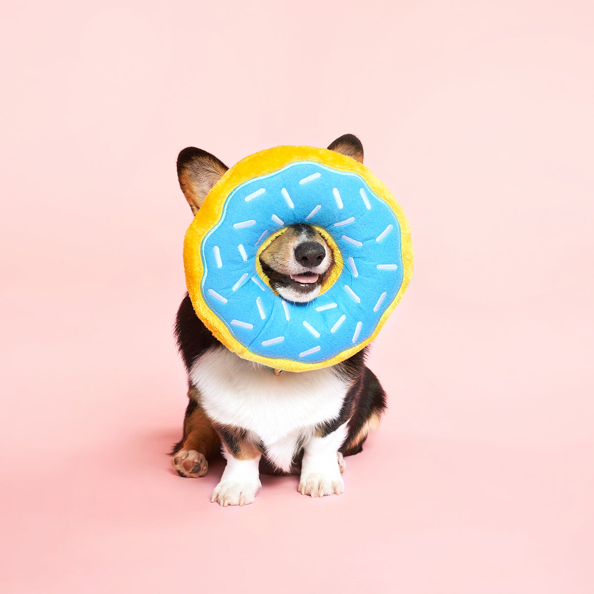 ZippyPaws Blueberry Donutz