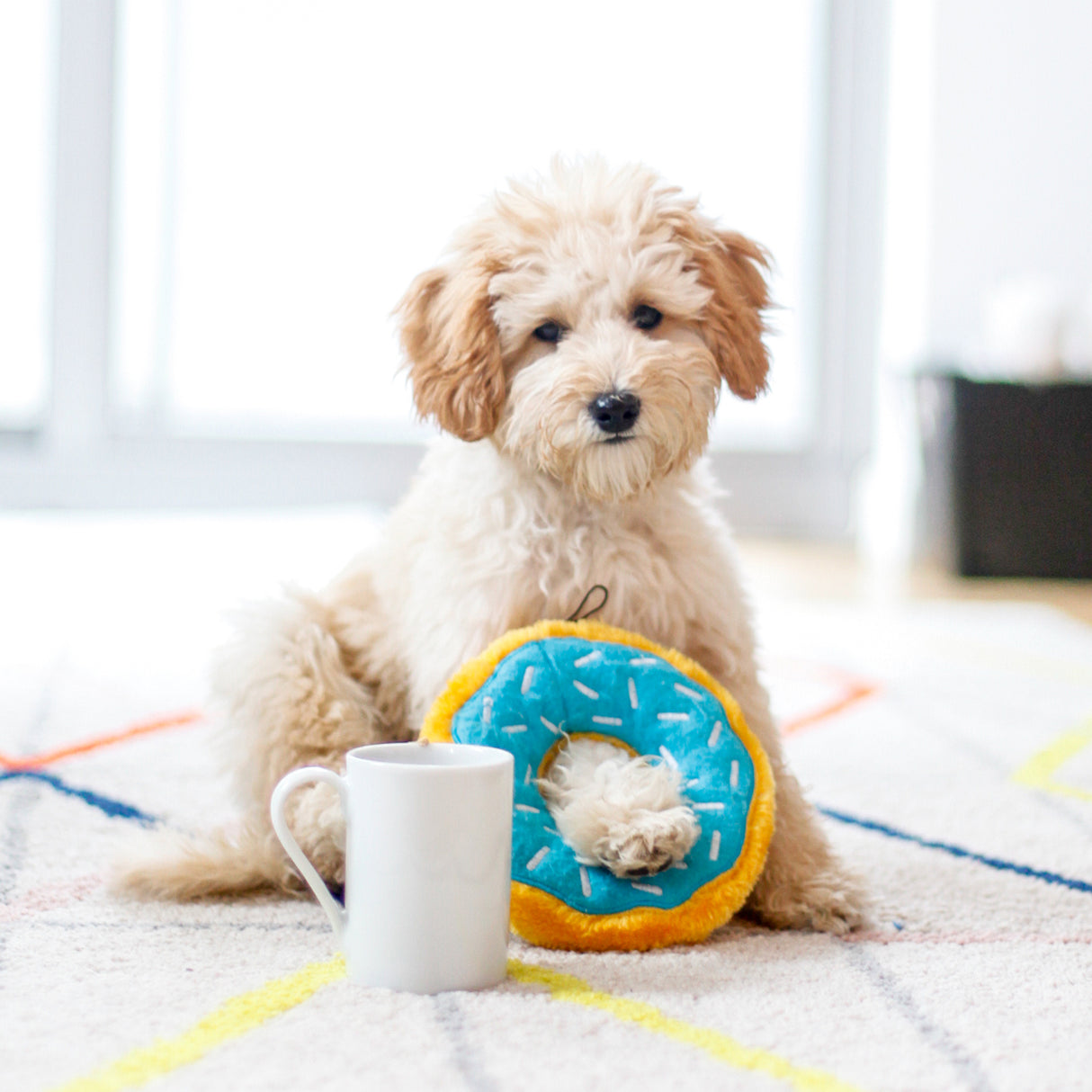 ZippyPaws Blueberry Donutz