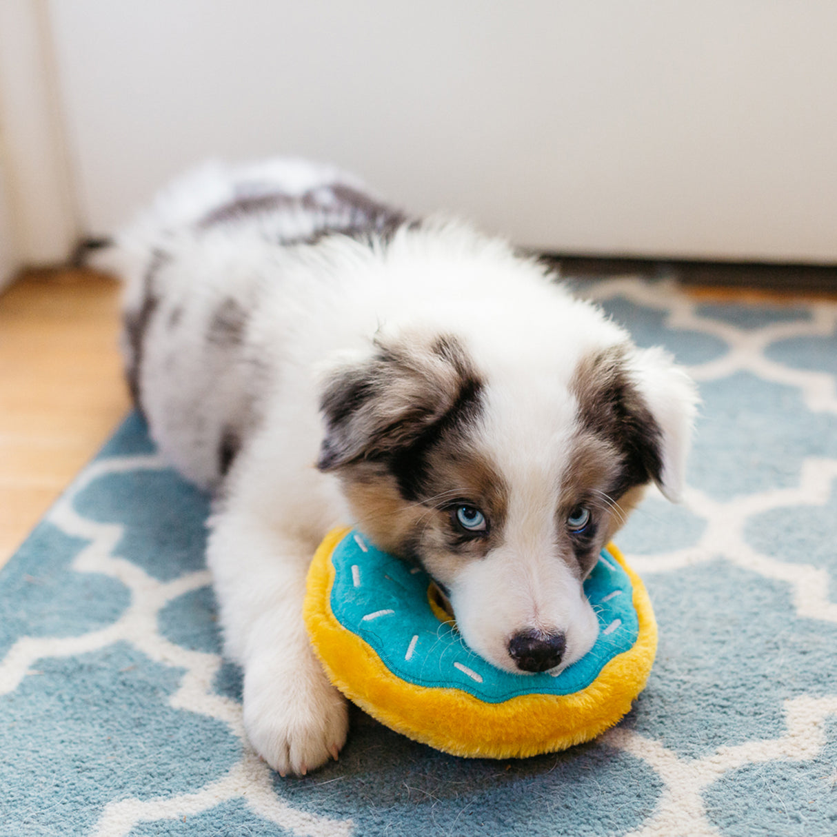 ZippyPaws Blueberry Donutz