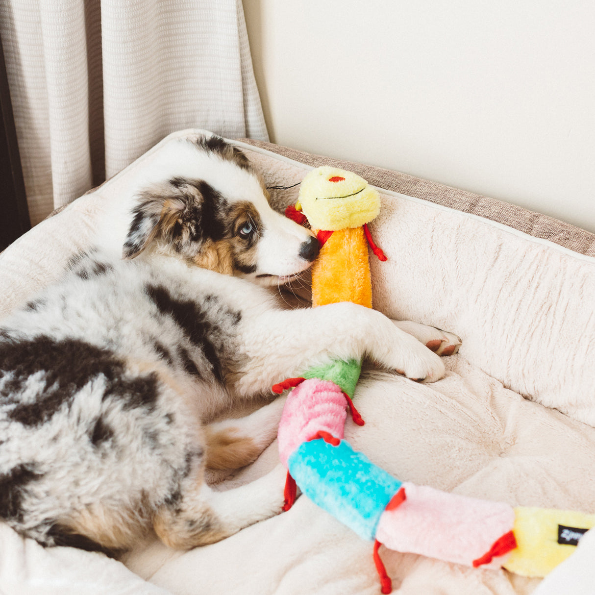 ZippyPaws Caterpillar