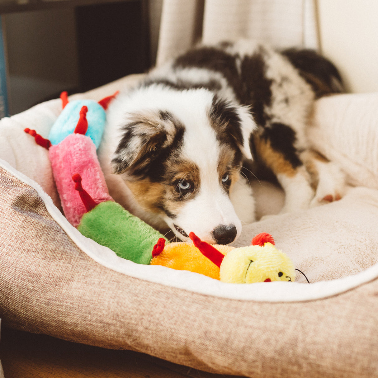 ZippyPaws Caterpillar