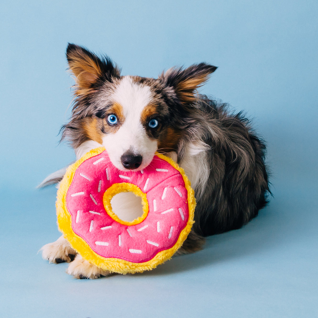 ZippyPaws Strawberry Donutz