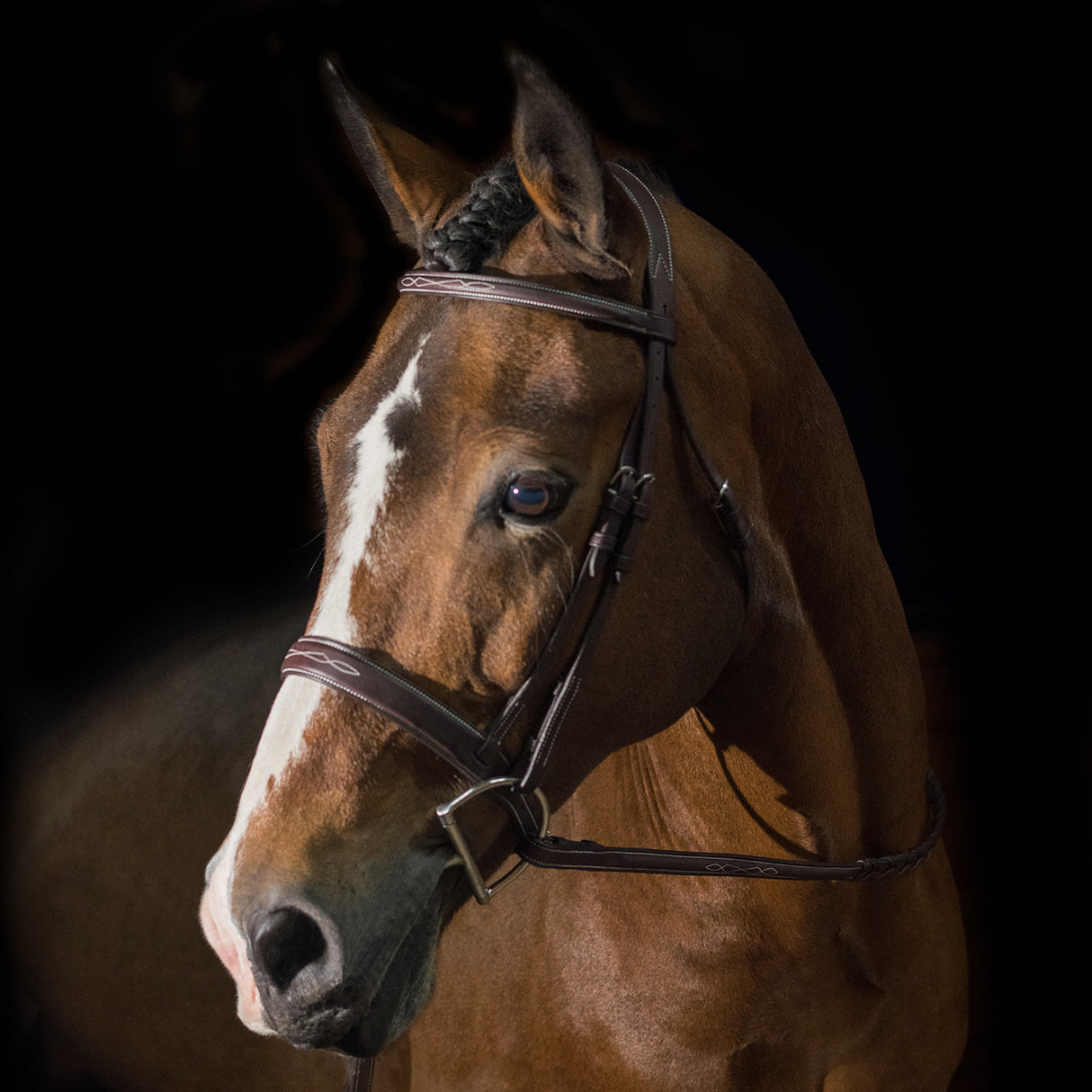 Pessoa Pro Fancy Stitched Wide Noseband Bridle