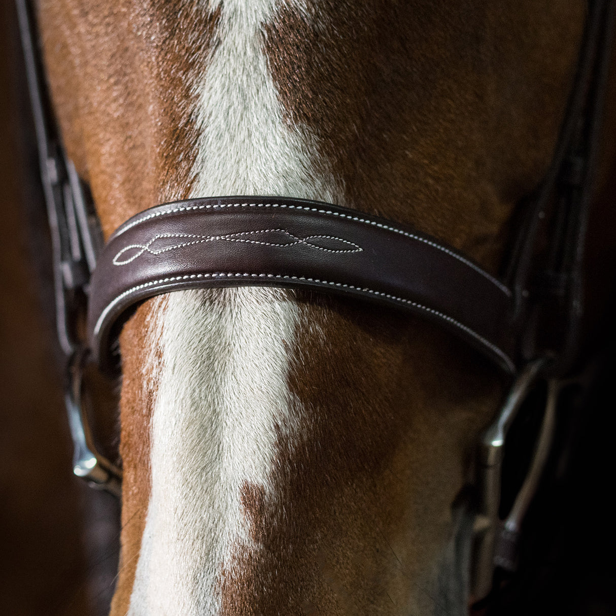 Pessoa Pro Fancy Stitched Wide Noseband Bridle