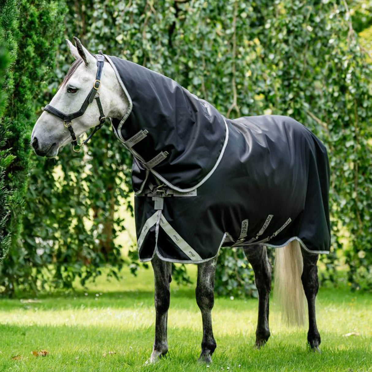 Amigo Plus 1200D Turnout Blanket 400 g