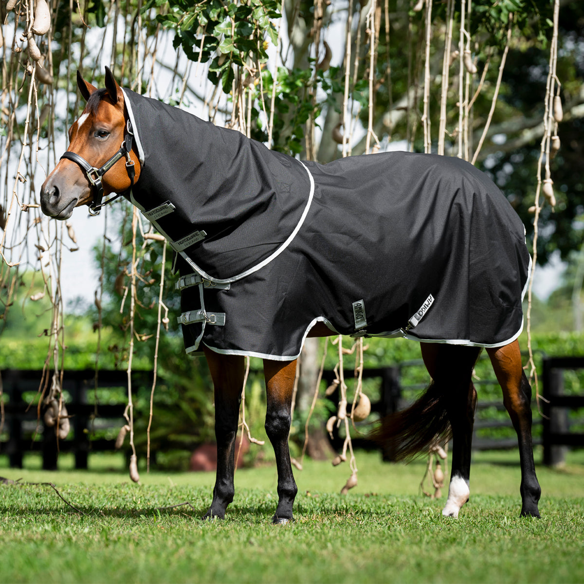 Amigo Ripstop Quarter Horse Plus Turnout Blanket 100 g