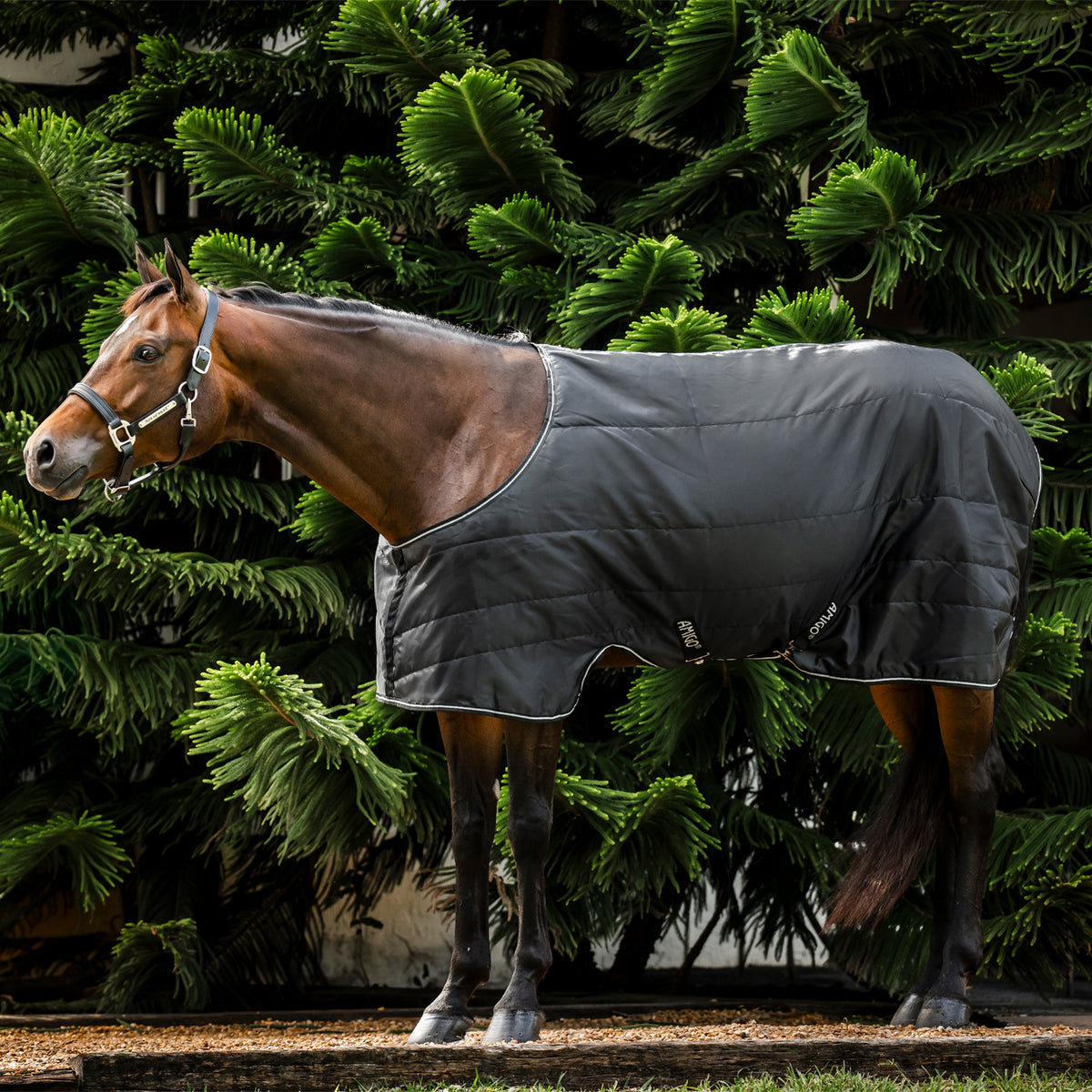 Amigo Quarter Horse Stable Blanket 200 g