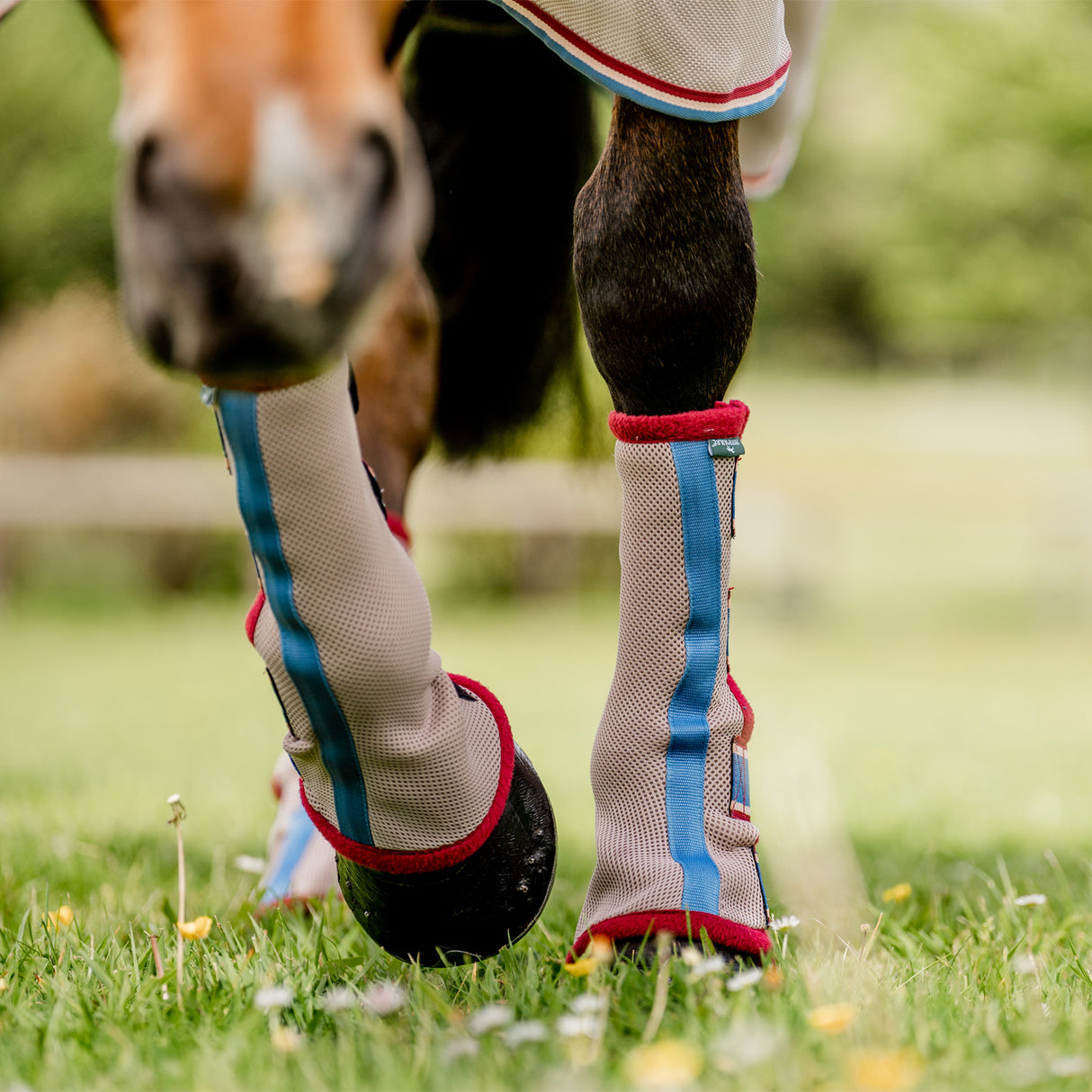 Horseware Fly Boots