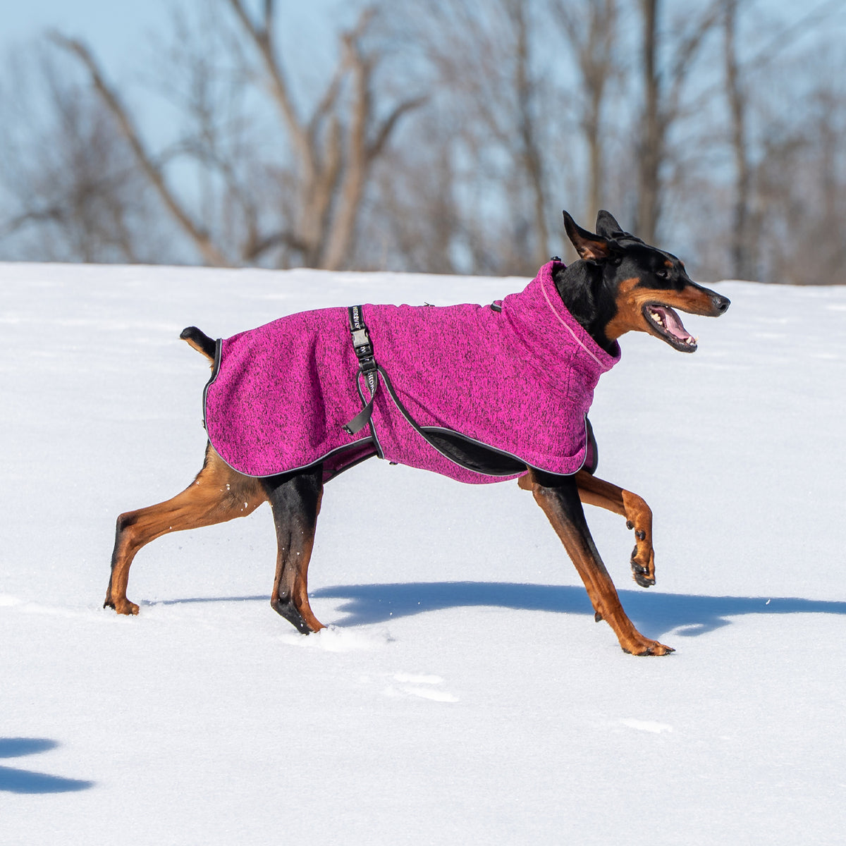 Shedrow K9 Urban Fleece Shacket