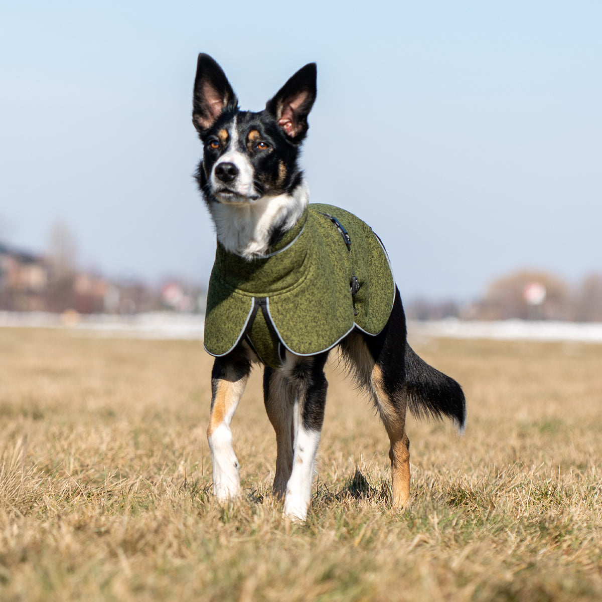Shedrow K9 Urban Fleece Shacket