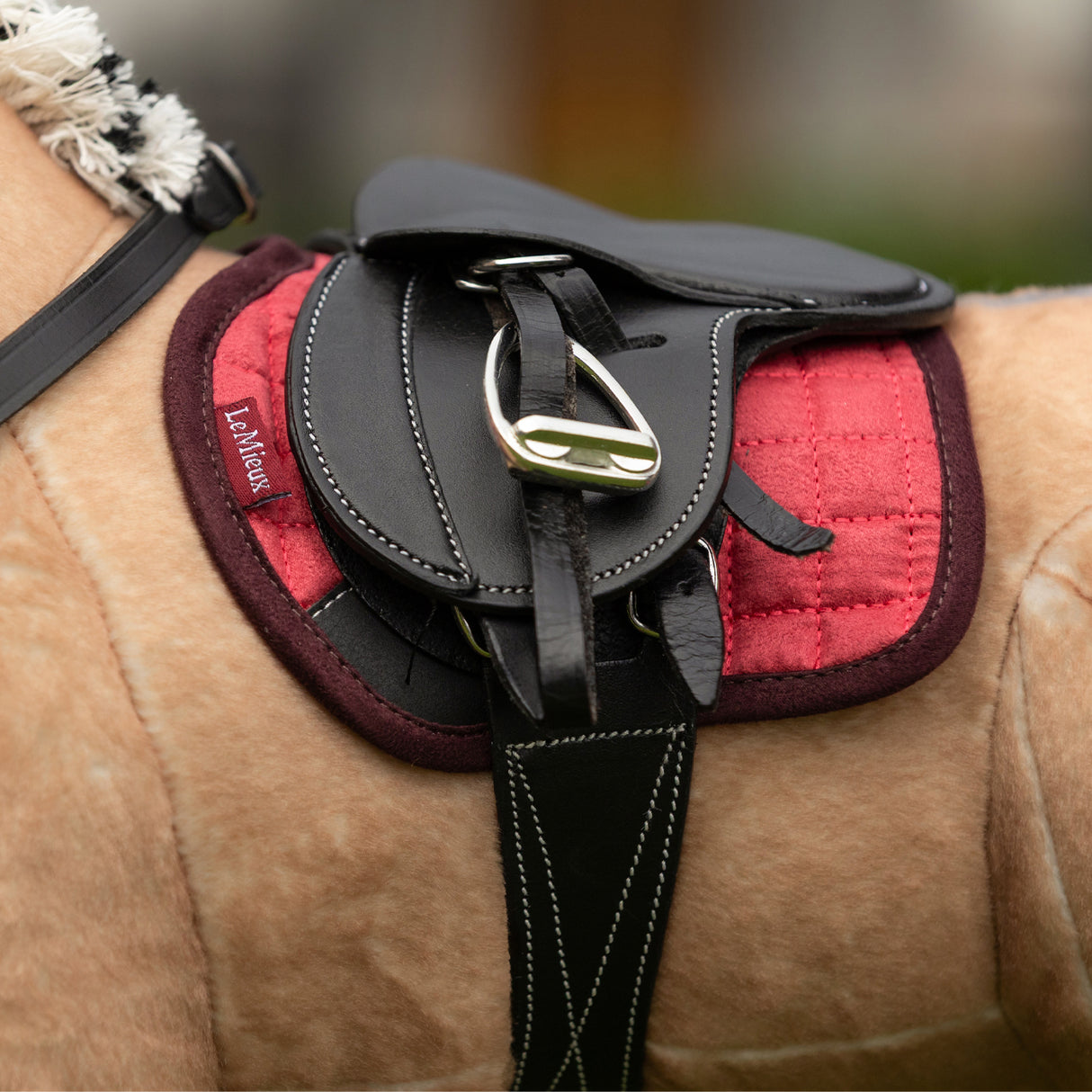 LeMieux Toy Pony Pad