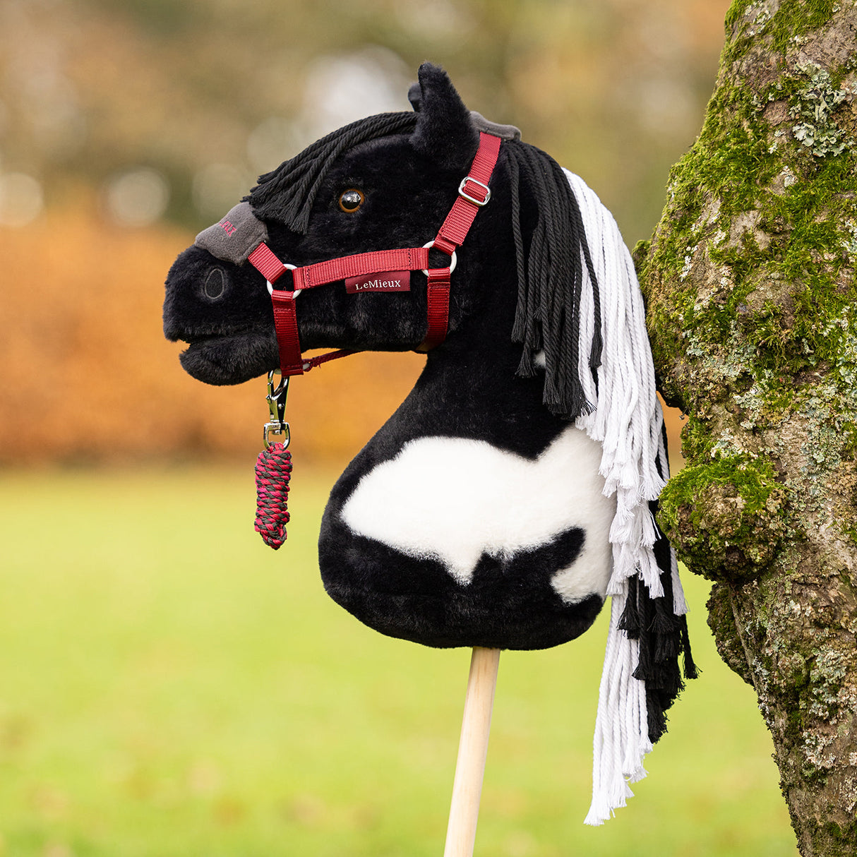 LeMieux Hobby Horse Vogue Halter & Lead