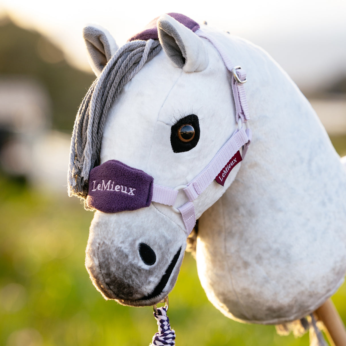 LeMieux Hobby Horse Vogue Halter & Lead