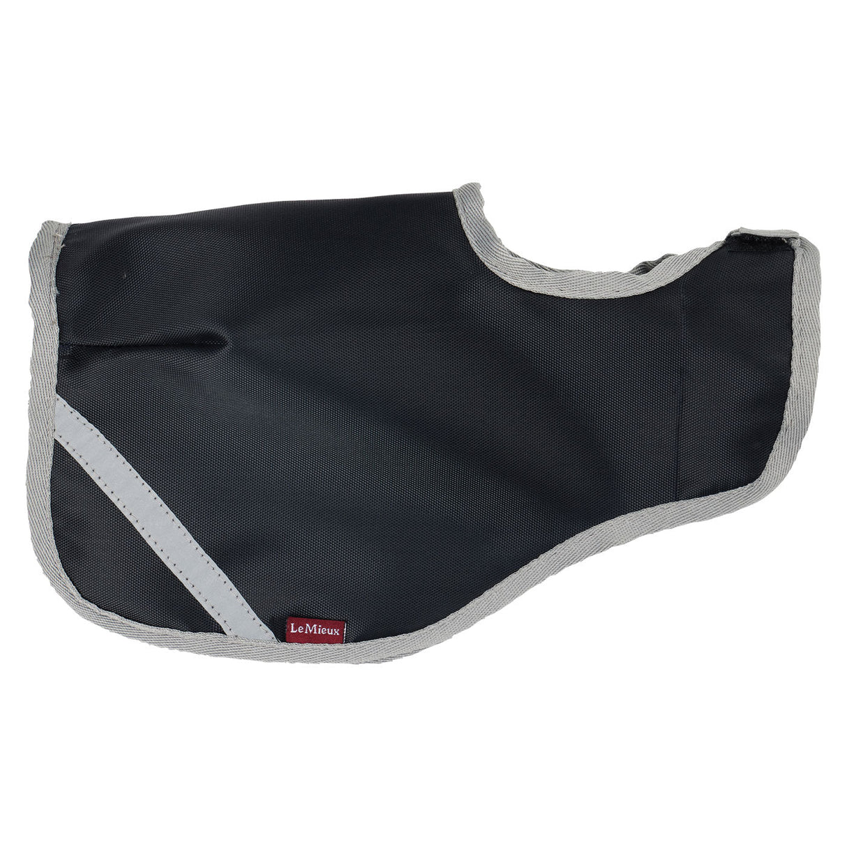 LeMieux Toy Pony Exercise Sheet