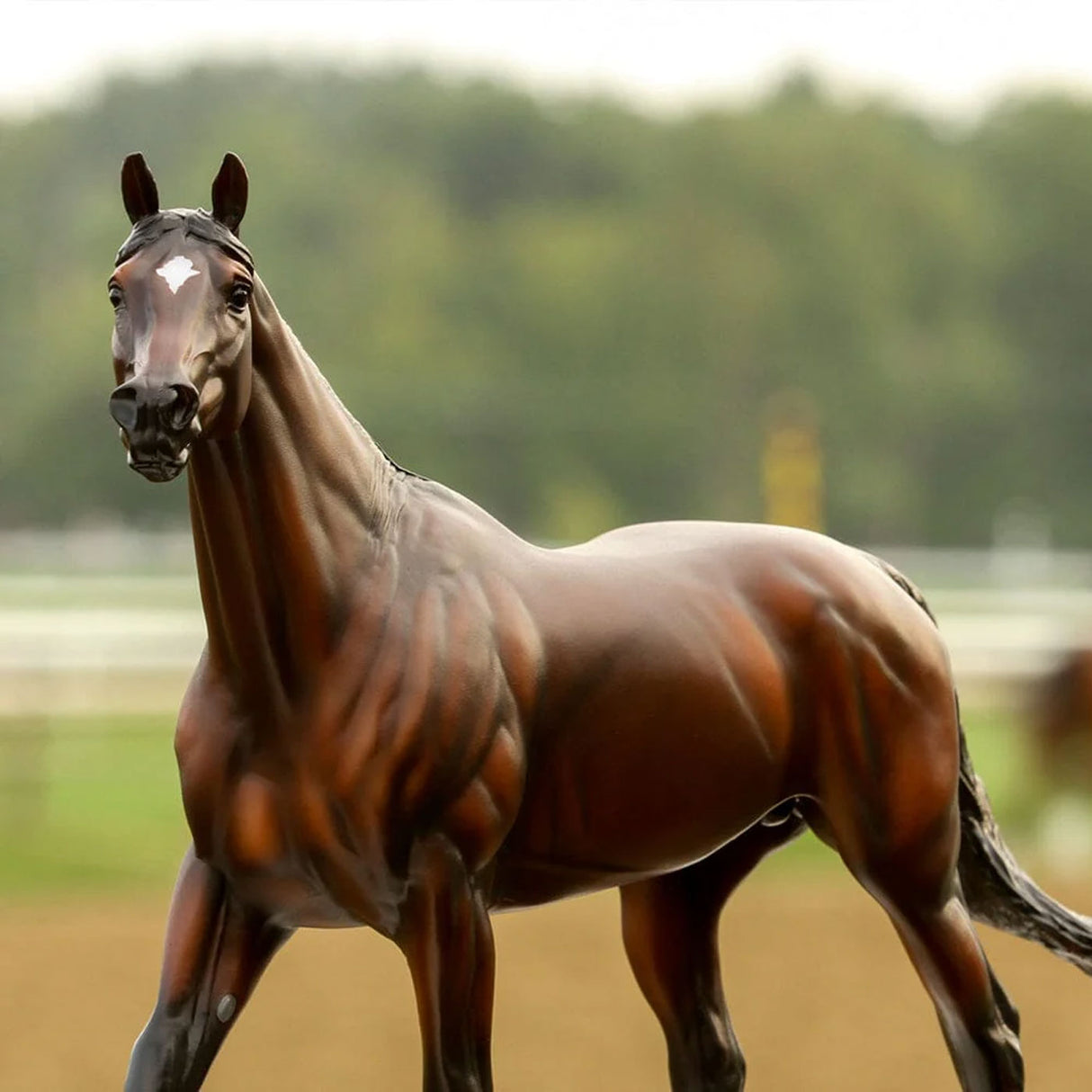 Breyer Traditional Cody's Wish