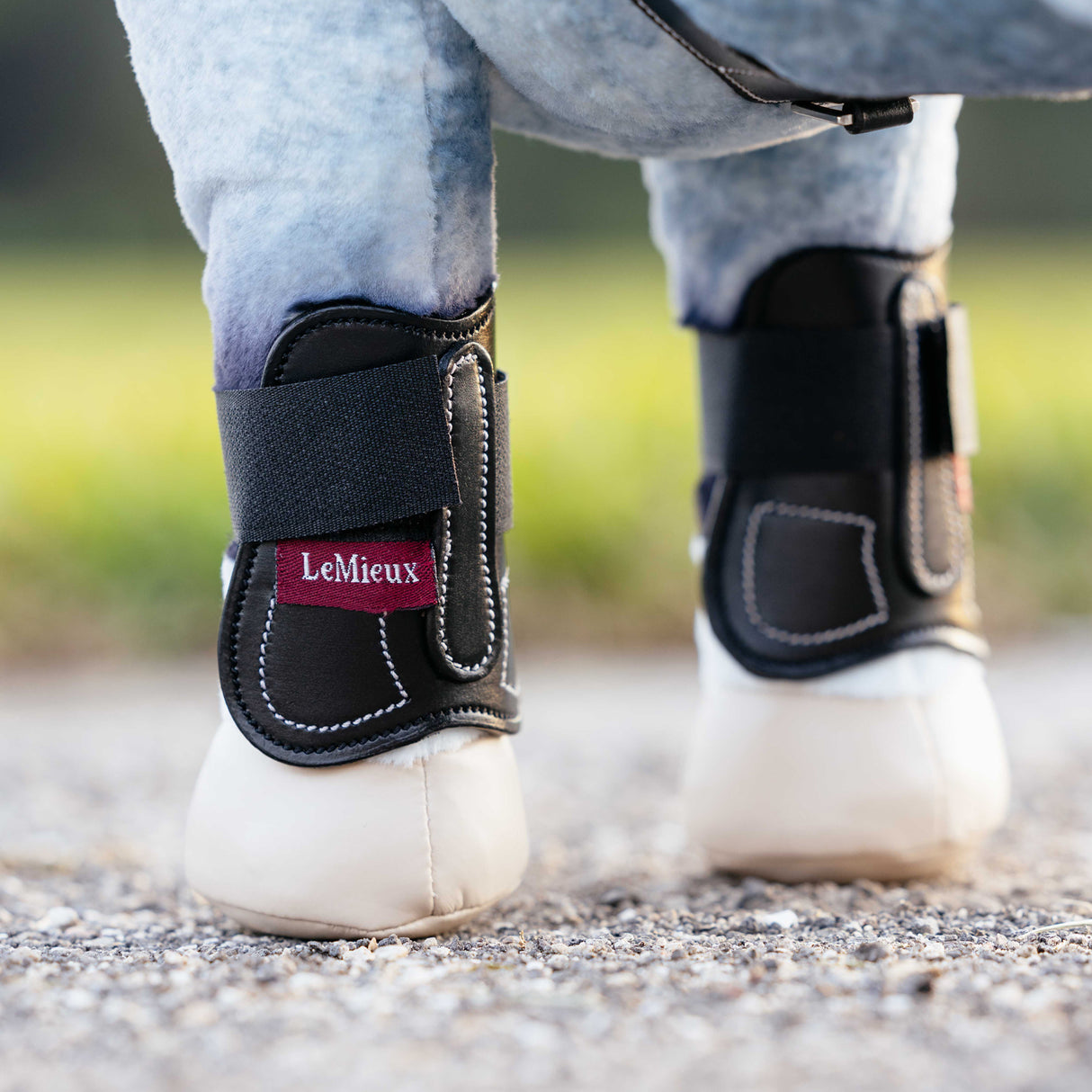 LeMieux Toy Pony Capella Boots