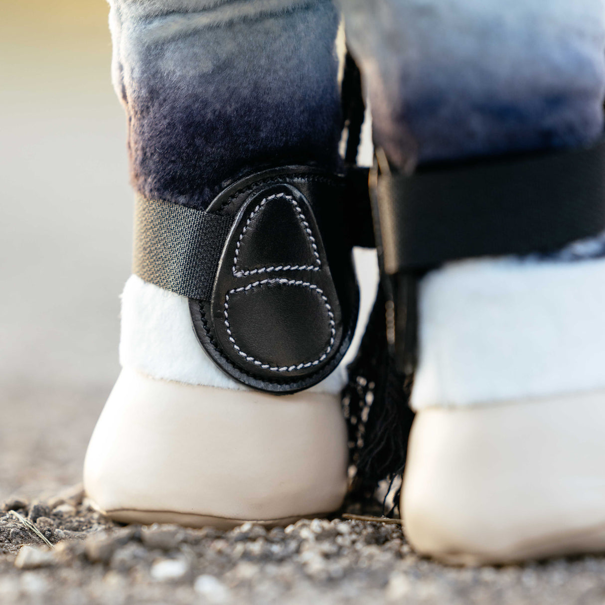 LeMieux Toy Pony Capella Boots