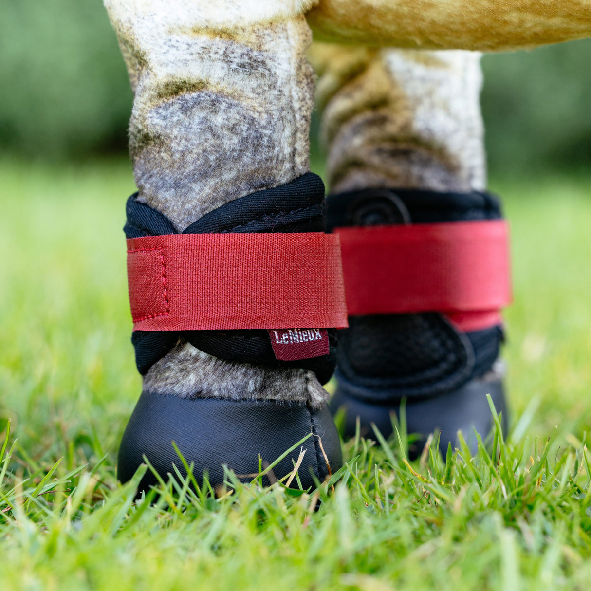 LeMieux Toy Pony Boots