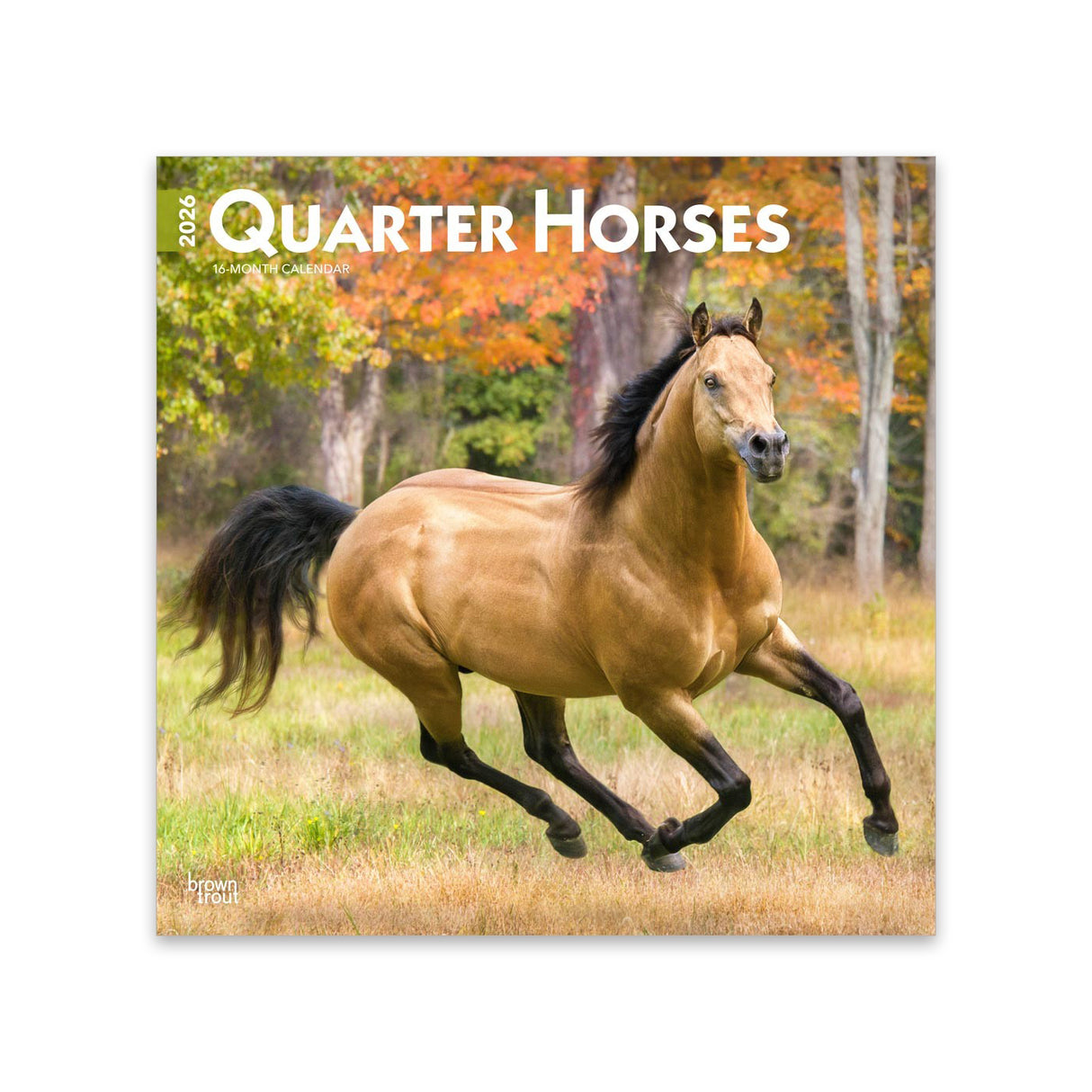 BrownTrout Quarter Horses 2026 Square Calendar