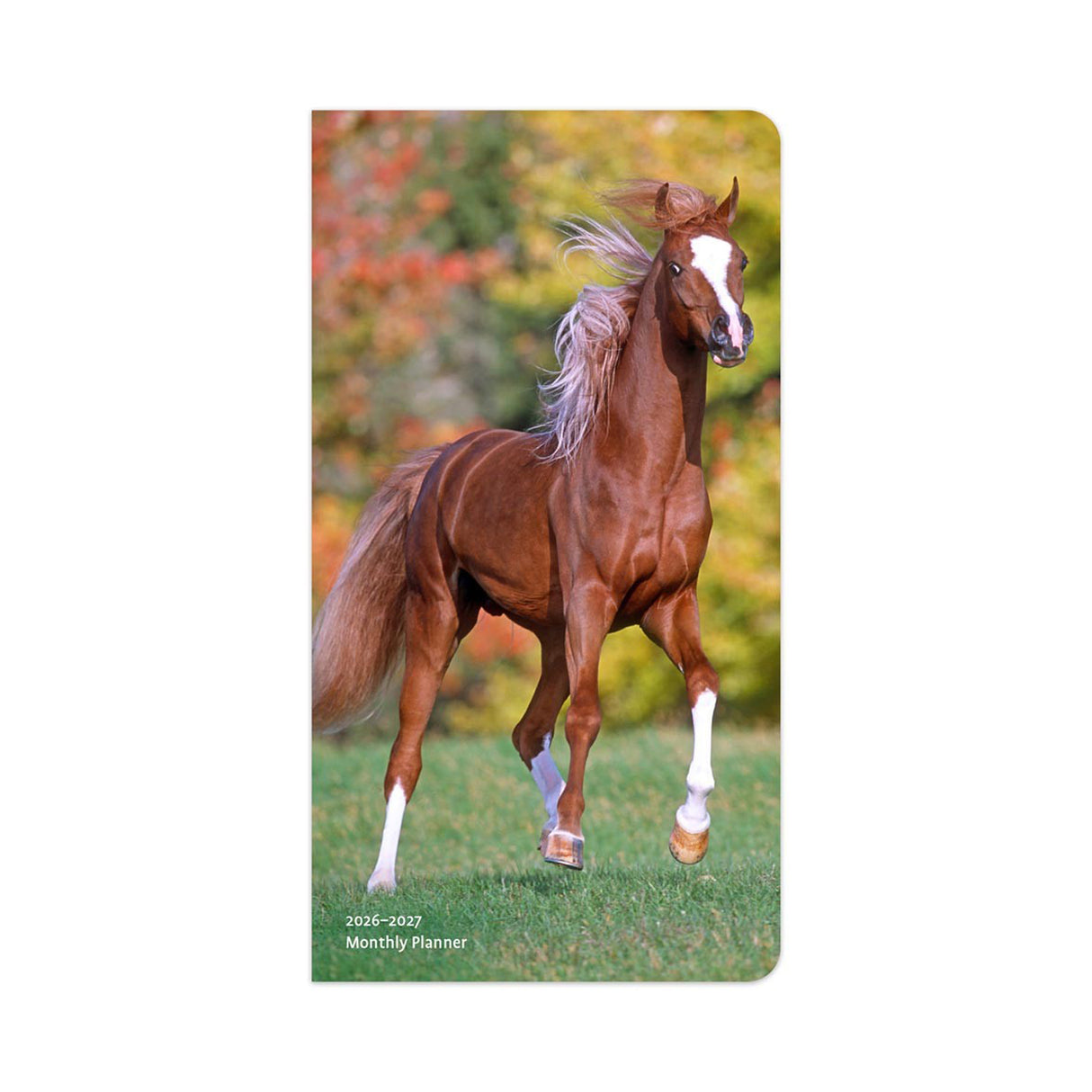 BrownTrout Horse Lovers 2026 Pocket Planner