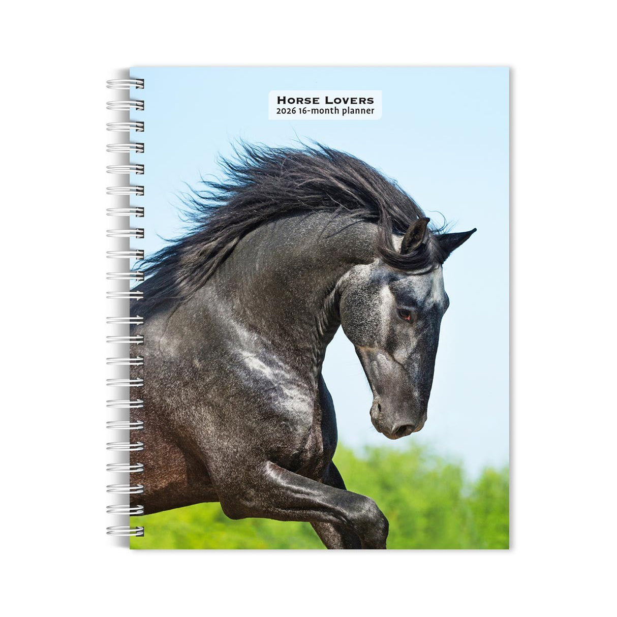 BrownTrout Horse Lovers 2026 Engagement Calendar