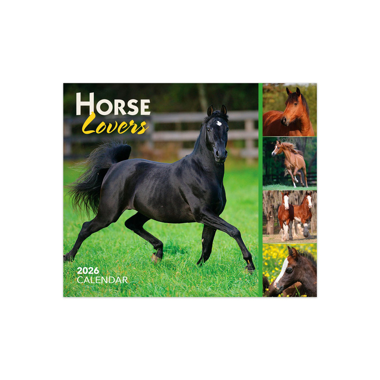 BrownTrout Horse Lovers 2026 Box Calendar