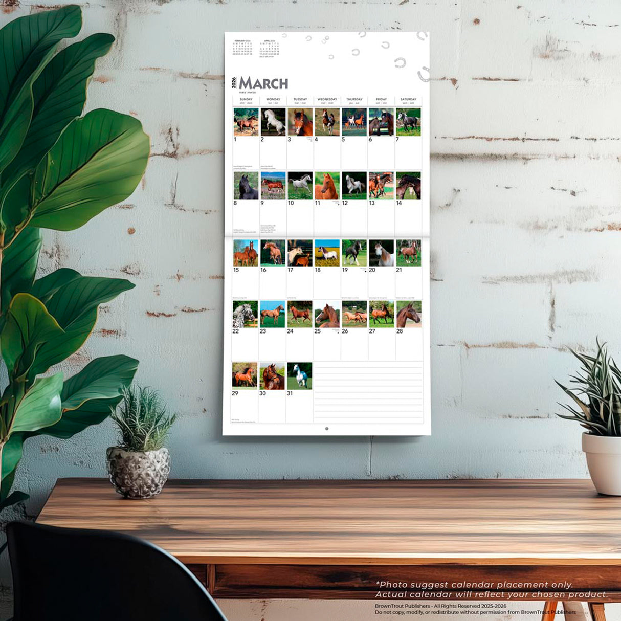 BrownTrout 365 Days of Horses 2026 Square Calendar