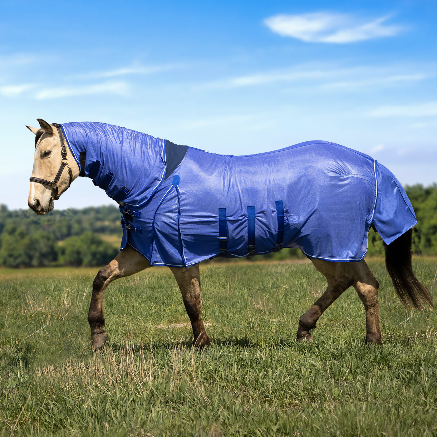 Shedrow Extend-A-Neck Fly Sheet 2.0