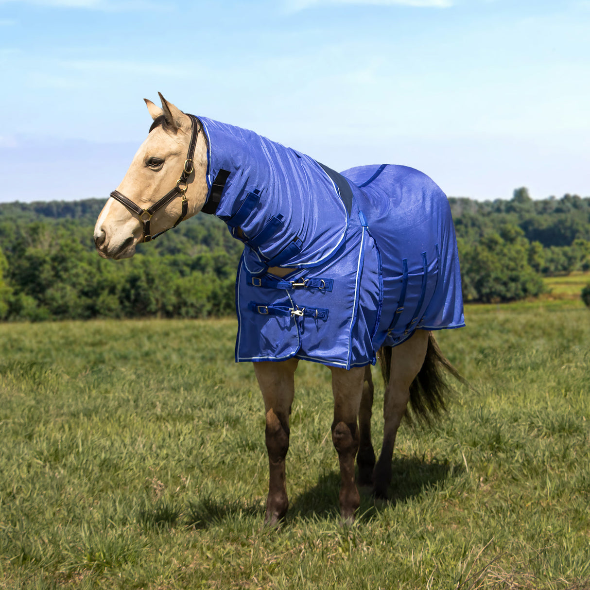 Shedrow Extend-A-Neck Fly Sheet 2.0