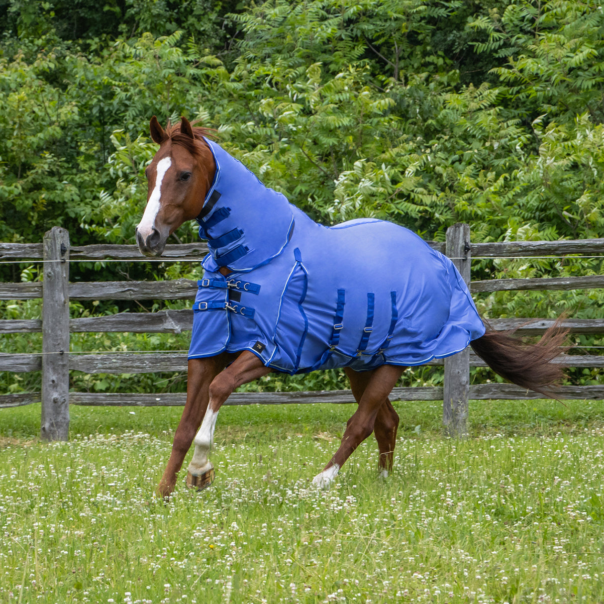 Shedrow Extend-A-Neck Fly Sheet 2.0