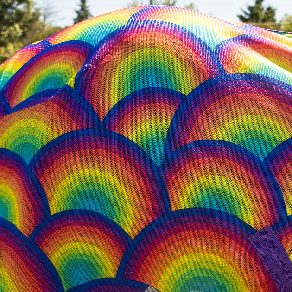Rainbow Fly Sheet