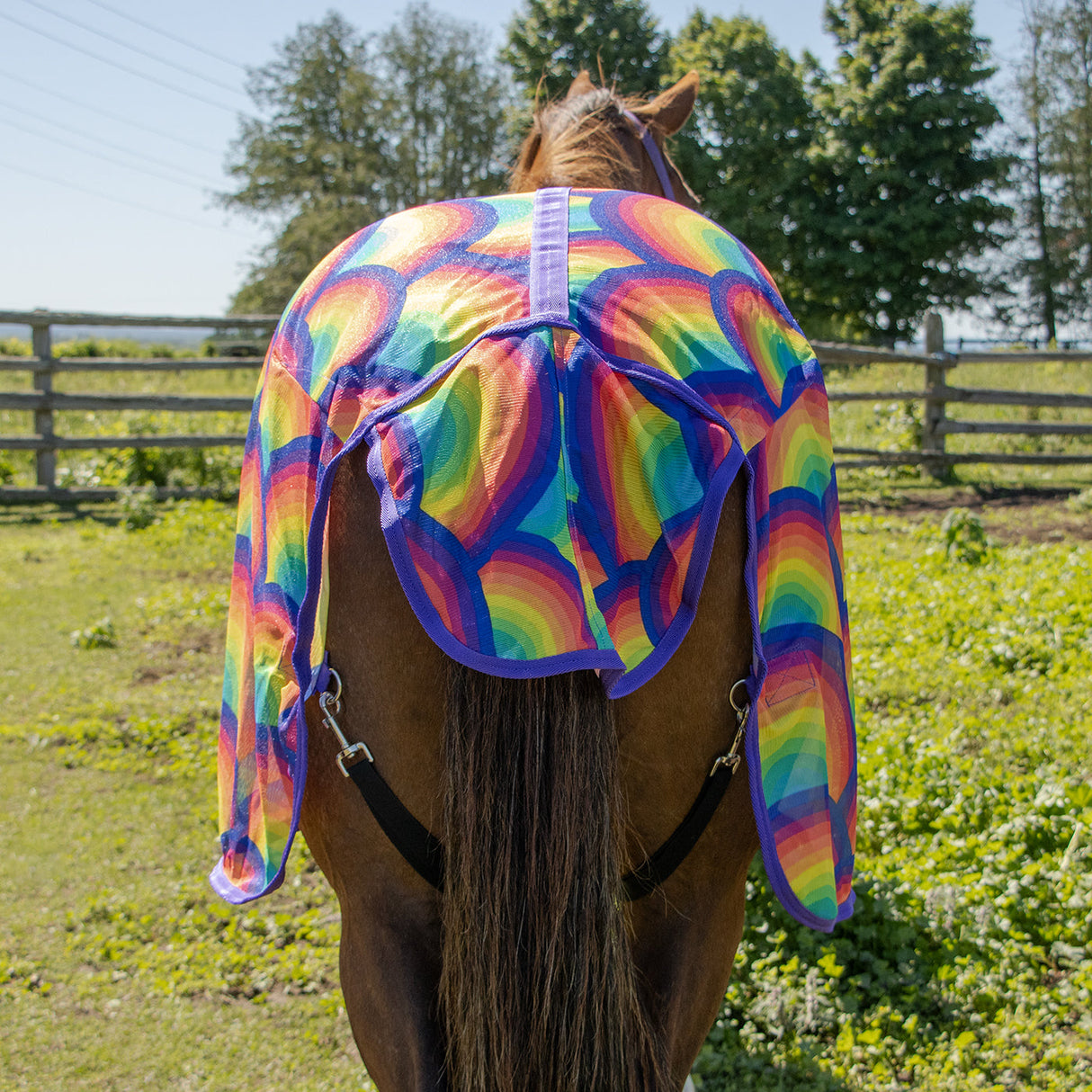 Rainbow Fly Sheet