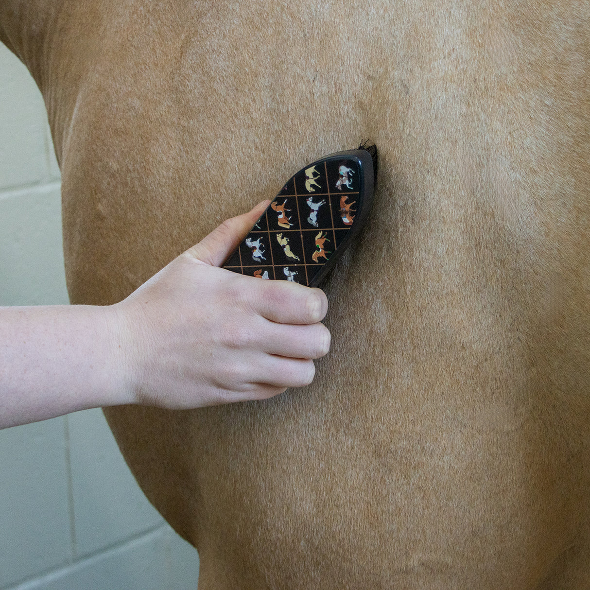 Supra Style Collection Dandy Brush