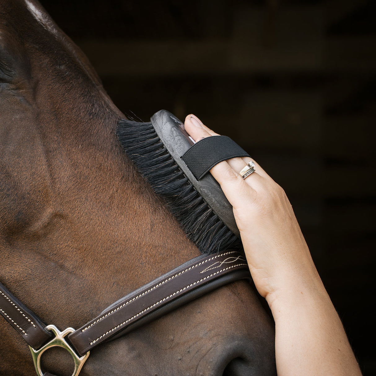 Haas Micro Diva Brush